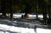 img_2391_small.jpg