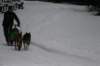 img_2420_small.jpg