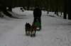 img_2436_small.jpg