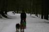 img_2438_small.jpg