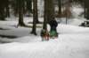 img_2446_small.jpg