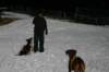 img_2460_small.jpg