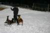 img_2461_small.jpg