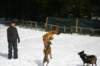 img_2462_small.jpg