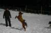 img_2469_small.jpg