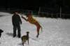 img_2472_small.jpg