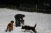 img_2479_small.jpg
