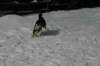 img_2494_small.jpg