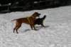 img_2502_small.jpg