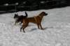 img_2503_small.jpg