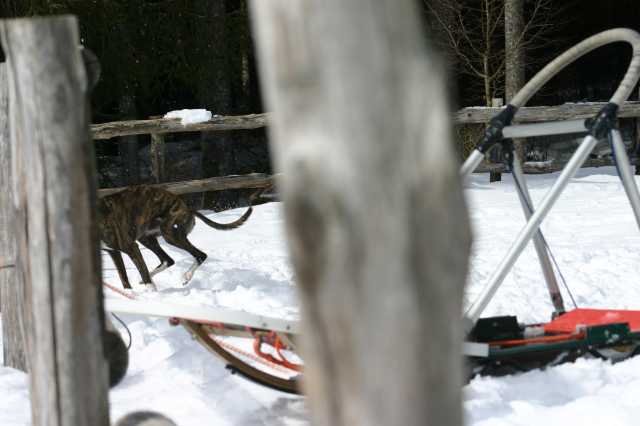 img_2541.jpg