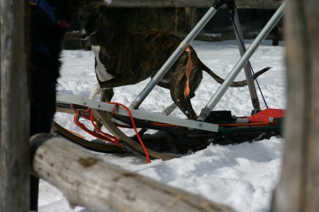 img_2553.jpg
