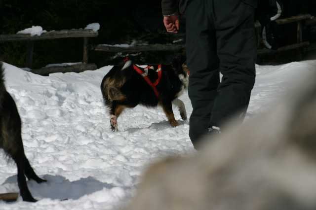 img_2564.jpg