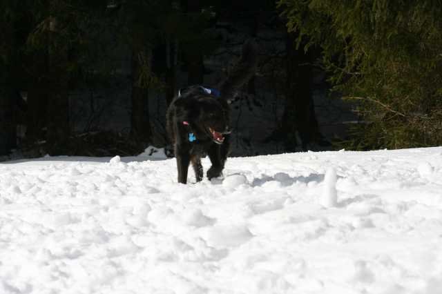 img_2570.jpg