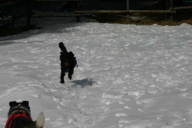 img_2599.jpg