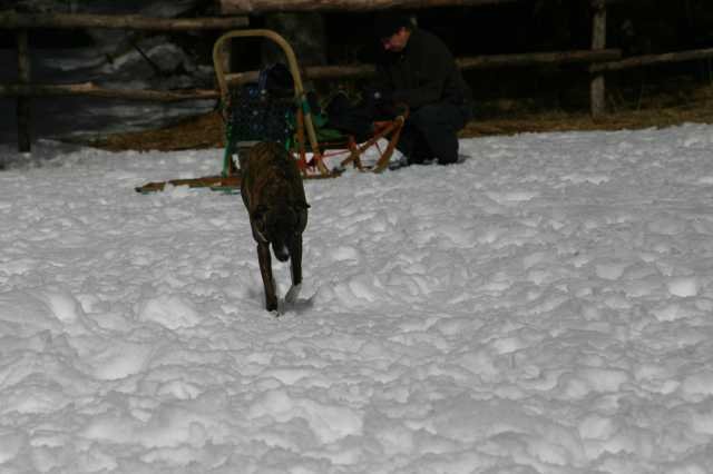 img_2615.jpg
