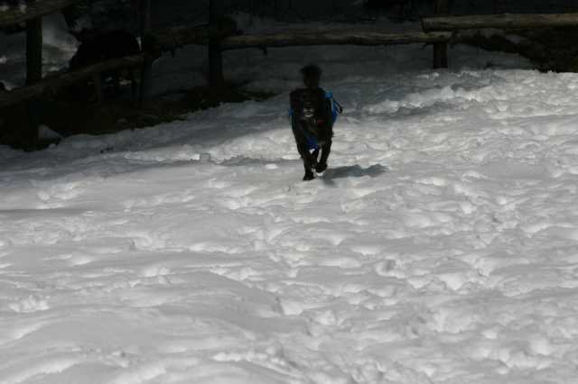 img_2623.jpg