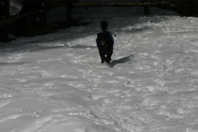 img_2624.jpg