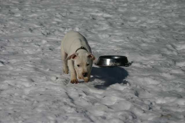 img_2634.jpg