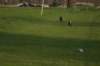 img_3491_small.jpg