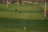 img_3492_small.jpg