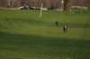 img_3493_small.jpg