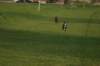 img_3494_small.jpg