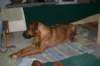 img_7210_small.jpg