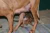 img_7218_small.jpg