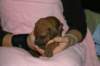 img_7256_small.jpg
