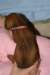 img_7262_small.jpg