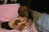 img_7264_small.jpg