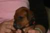 img_7278_small.jpg