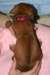 img_7279_small.jpg