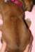 img_7282_small.jpg