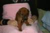 img_7285_small.jpg