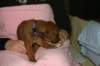 img_7288_small.jpg