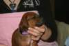 img_7289_small.jpg