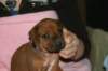 img_7293_small.jpg