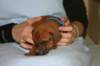img_7300_small.jpg