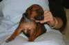 img_7310_small.jpg