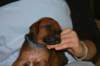 img_7311_small.jpg