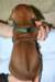 img_7337_small.jpg