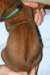 img_7338_small.jpg