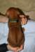 img_7339_small.jpg