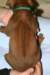 img_7340_small.jpg