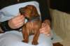 img_7342_small.jpg