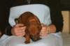 img_7354_small.jpg
