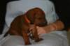 img_7355_small.jpg