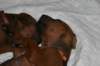 img_7397_small.jpg
